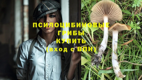 mix Новодвинск